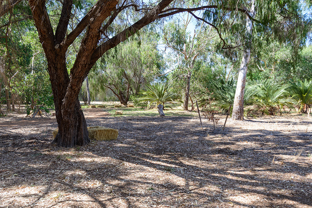 Kewdale Primary School